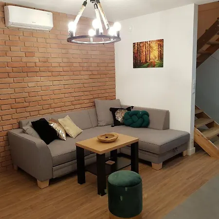 Forest House - Mazur Daire Regiel