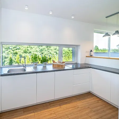 Forest House - Mazur Regiel